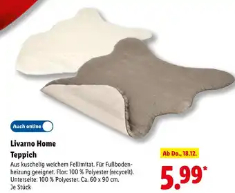 Lidl Livarno home teppich Angebot