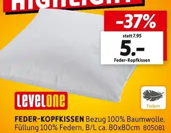 SCONTO Levelone feder-kopfkissen Angebot