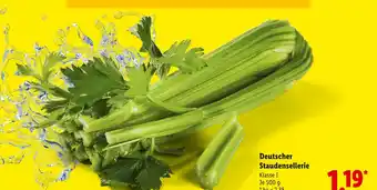 Lidl Deutscher staudensellerie Angebot