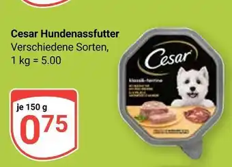 Globus Cesar hundenassfutter Angebot