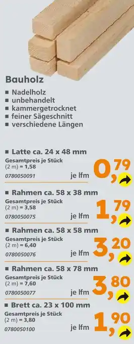 Globus Baumarkt Latte ca. 24 x 48 mm Angebot