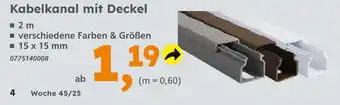Globus Baumarkt Kabelkanal mit deckel Angebot