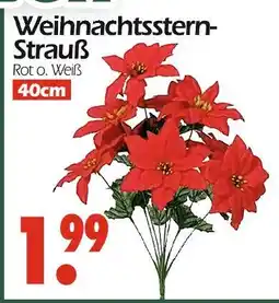 Wreesmann Weihnachtsstern-strauß Angebot