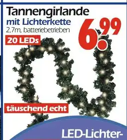 Wreesmann Tannengirlande mit lichterkette Angebot