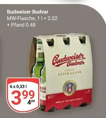 Globus Budweiser budvar bier Angebot
