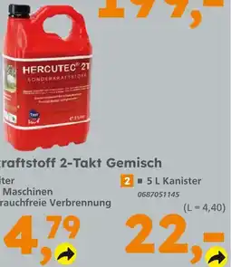 Globus Baumarkt Hercutec sonderkraftstoff 2-takt gemisch Angebot