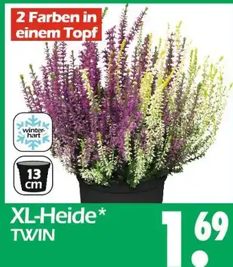 Wreesmann Xl-heide twin Angebot