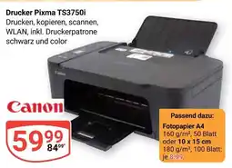 Globus Canon drucker pixma ts3750i Angebot