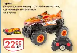 Globus Hot wheels tigerhai Angebot