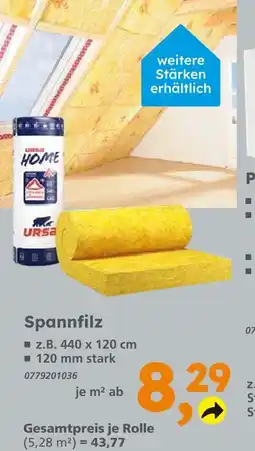 Globus Baumarkt Spannfilz Angebot