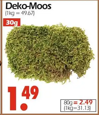 Wreesmann Deko-moos Angebot