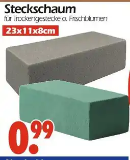 Wreesmann Steckschaum Angebot