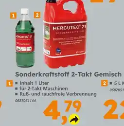 Globus Baumarkt Hercutec 2t sonderkraftstoff Angebot