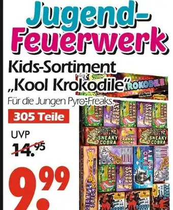 Wreesmann Kids-sortiment 'kool krokodile' Angebot