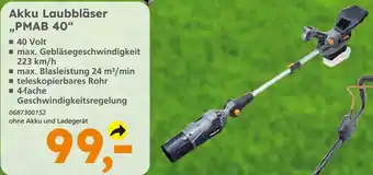 Globus Baumarkt Akku laubbläser „pmab 40“ Angebot