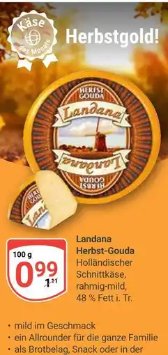 Globus Landana herbst-gouda Angebot
