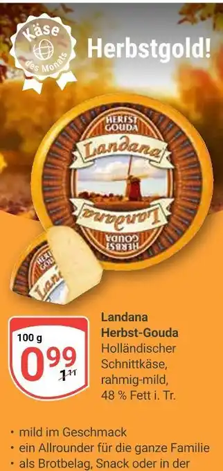 Globus Landana herbst-gouda Angebot