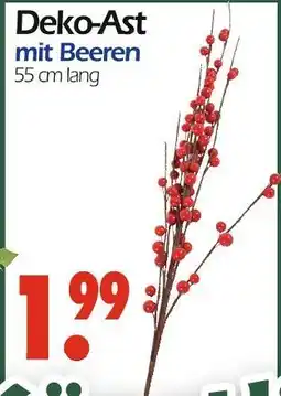 Wreesmann Deko-ast mit beeren Angebot