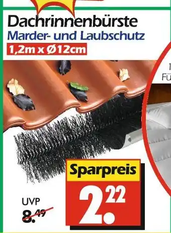 Wreesmann Dachrinnenbürste Angebot