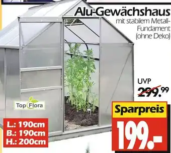 Wreesmann Top flora alu-gewächshaus Angebot
