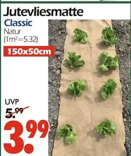 Wreesmann Jutevliesmatte classic natur Angebot