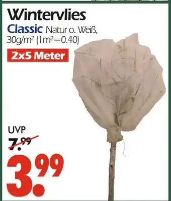 Wreesmann Wintervlies classic natur o. weiß Angebot