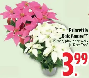 Edeka Princettia „Dolc Amore" Angebot