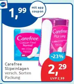 Budni Carefree Slipeinlagen Angebot