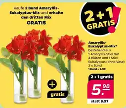 NETTO Amaryllis/Eukalyptus-Mix Angebot