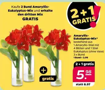 NETTO Amaryllis/Eukalyptus-Mix Angebot