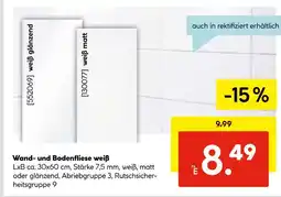Hellweg Wand- und bodenfliese Angebot