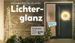 Hellweg Mini-weihnachtsbaum Angebot