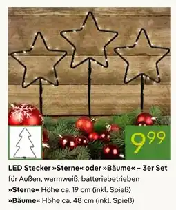 Pflanzen Kölle Led stecker sterne Angebot