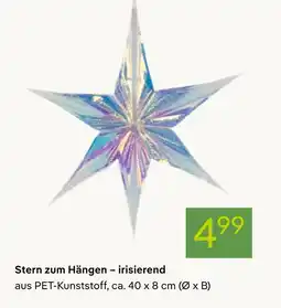 Pflanzen Kölle Stern zum hängen – irisierend Angebot