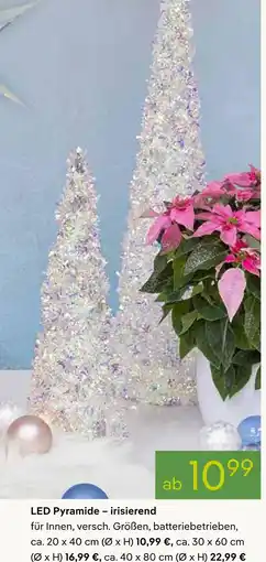 Pflanzen Kölle Led pyramide – irisierend Angebot