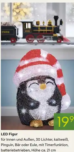 Pflanzen Kölle Led figur Angebot