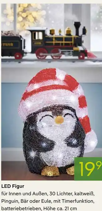 Pflanzen Kölle Led figur Angebot