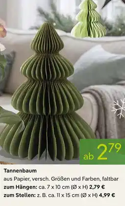 Pflanzen Kölle Tannenbaum zum hängen Angebot