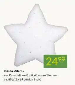 Pflanzen Kölle Kissen stern Angebot