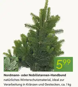 Pflanzen Kölle Nordmann- oder nobilistannen-handbund Angebot