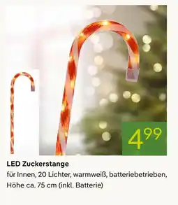 Pflanzen Kölle Led zuckerstange Angebot