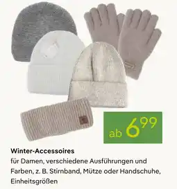 Pflanzen Kölle Winter-accessoires Angebot