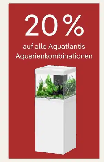 Pflanzen Kölle 20% rabatt Angebot