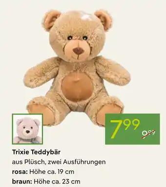 Pflanzen Kölle Trixie teddy rosa Angebot