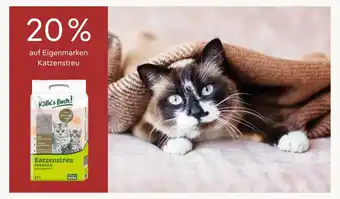 Pflanzen Kölle Kölle's beste! 20% rabatt Angebot