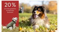 Pflanzen Kölle 10% rabatt Angebot