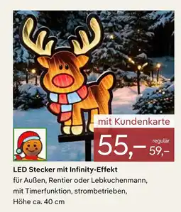 Pflanzen Kölle Led stecker mit infinity-effekt Angebot