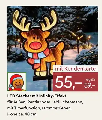 Pflanzen Kölle Led stecker mit infinity-effekt Angebot