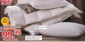 Möbelzentrum Pforzheim Billerbeck ganzjahresbett Angebot