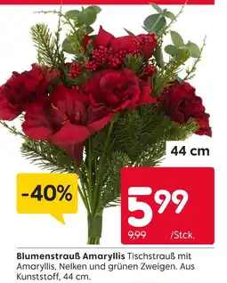 Rusta Blumenstrauß amaryllis Angebot